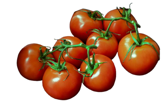 Tomate